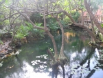 Cenote im Hotelgelände