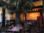 À-la-carte Restaurant