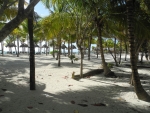 Palmen zwischen Hotel und Strand