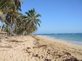 Natur bis an den Strand