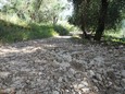 Steiniger Weg zum Strand