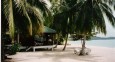 Beach Lamai - schöne gepflegte Palmen als Schattenspender