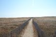 Weg zum Strand durch Düne