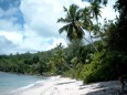 Die Seychellen sind eine der schönsten Inseln der Welt