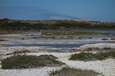 Blick über die Saline