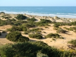 Naturstrand Playa la Barrosa