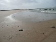 schöner sehr langer Strand in Andalusien Novo Sancti Petri Playa la Barrosa