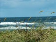 Insel Juist Strand - hinter der Graßnarbe