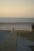 Insel Juist Strand Töwerland