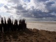 Insel Juist Strand