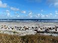 Strand im Früjahr