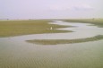 Töwerland Insel Juist Strand Autofrei