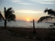 Jomtien Beach mit abgekrachter Palme und etwas Unrat