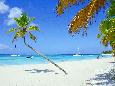 Strand Saona