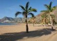 schöner Palmenstrand - Playa de las Teresitas