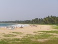 Westküste Sri Lankas Balapitiya Beach