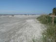 Die Hilton Head Island Palmetto Dunes