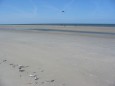 St Peter-Ording, unser liebster Strand an der Nordsee