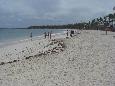 Strandspaziergänger in Punta Cana