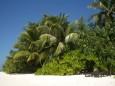 Strand von Vilamendhoo auf dem Ari-Atoll