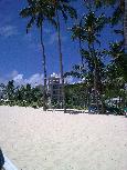 Von Palmen umsäumter Strand