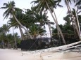 Palmen am White Beach, Boracay