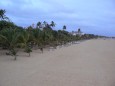 Negombo Beach auf Sri Lanka ein sehr breiter und langer Strand im Westen von Sri Lanka