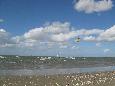 Strand von Renesse