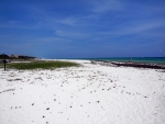 Freier Strand südlich von Playacar