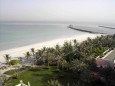 Palmen am Strand von Ajman