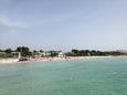 Alcudia beach