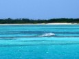 Der Francisqui Madrisqui Strand liegt in der Region Caracas