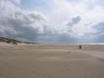 der Strand von Saltum, sehr lange und wenige Besucher, dafür unberührte Natur