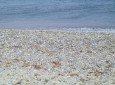 Kieselstrand auf Kos