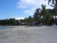 Kokusnuspalmen am Strand Noi Beach