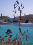 Blaue Lagune auf Malta