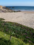 Praia Ingrina - Raposeira-Vila do Bispo