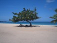 Traumkulisse Grand Anse Beach