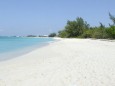 von gruener Vegetation umgebene Karibikinseln Cayman Islands