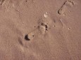 Footsteps in the Sand