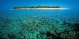 Lady Musgrave Island ein Himmel auf Erden