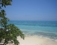 Lady Musgrave Island Down Under mal anders