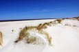 Natur pur auf Borkum