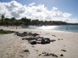 Belle Mare auf Mauritius