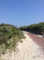 Insel Langeoog