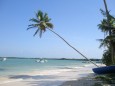 südliche Karibik Tobago ein Traumziel auf Erden