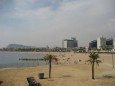 Palmen am Strand von Barcelona