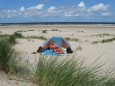 Bewachsene Dünena auf Borkum