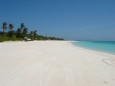 Palmen und kristallklares Wasser in Palawan