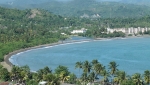 Palmen an der Playa de Baracoa